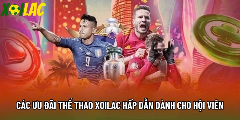 Tổng hợp ưu đãi thể thao xoilac hấp dẫn dành cho hội viên