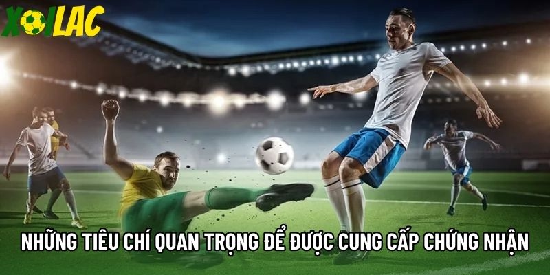 Những tiêu chí quan trọng để được cung cấp chứng nhận Những tiêu chí quan trọng để được cung cấp chứng nhận