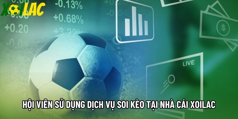 Hội viên sử dụng dịch vụ soi kèo tại nhà cái Xoilac