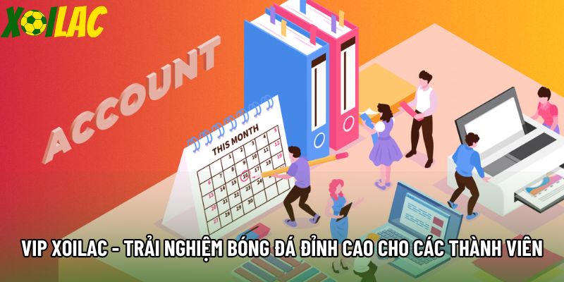 VIP Xoilac - Trải Nghiệm Bóng Đá Đỉnh Cao Cho Các Thành Viên